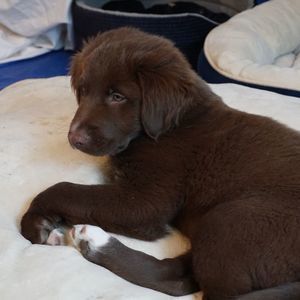 Meet your Posher, Audrey